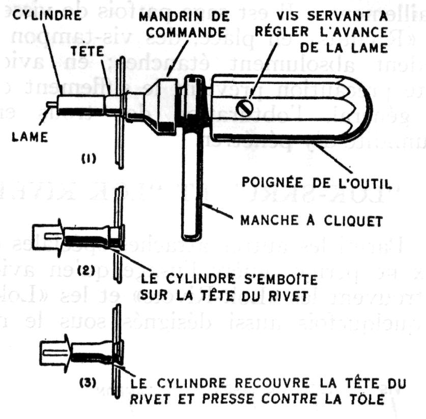 Visser Les Clous Et Marteler Sur La Souche. Instrument Professionnel,  équipement De Construction, Fixations, Outils De Fixation Et De Vissage