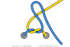 Standard Knot diagram 2