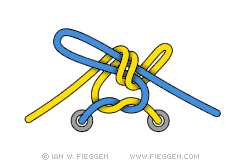 Turquoise Turtle Knot diagram 4