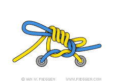 Turquoise Turtle Knot diagram 6