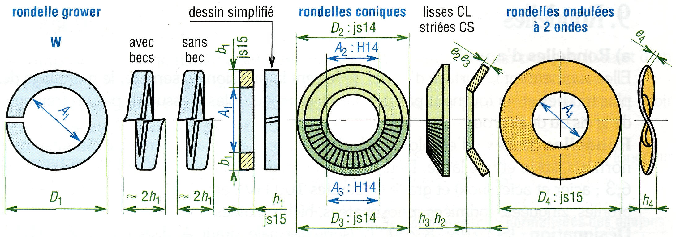 différentes rondelles