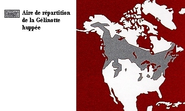 Aire de rpartition