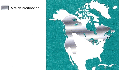 Aire de nidification