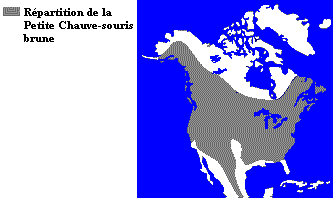 carte montrant la rpartition de la petite chauve-souris brune