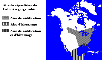 carte montrant la rpartition du Colibri  gorge rubis