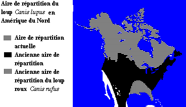 carte du rpartition d'un loup