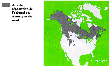 carte du rpartition d'un orignal
