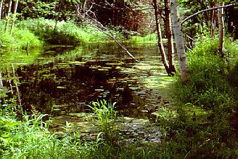 photo d'un tang